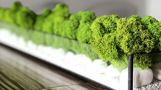 Польза стабилизированного мха