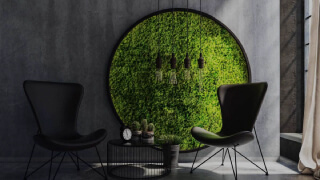 Оформление интерьера мхом