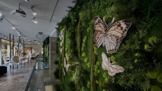 Озеленение детской комнаты мхом