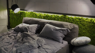 Озеленение спальни мхом