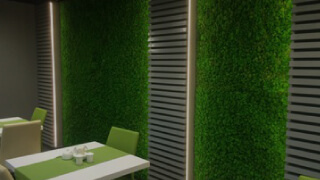 Стена из мха