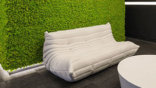 Озеленение дома и квартиры