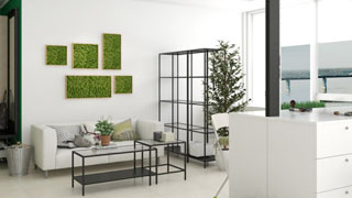 Озеленение косметологического кабинета/салона красоты